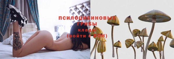 прущие грибы Белоозёрский