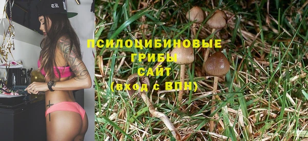 прущие грибы Белоозёрский