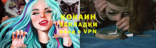 прущие грибы Белоозёрский